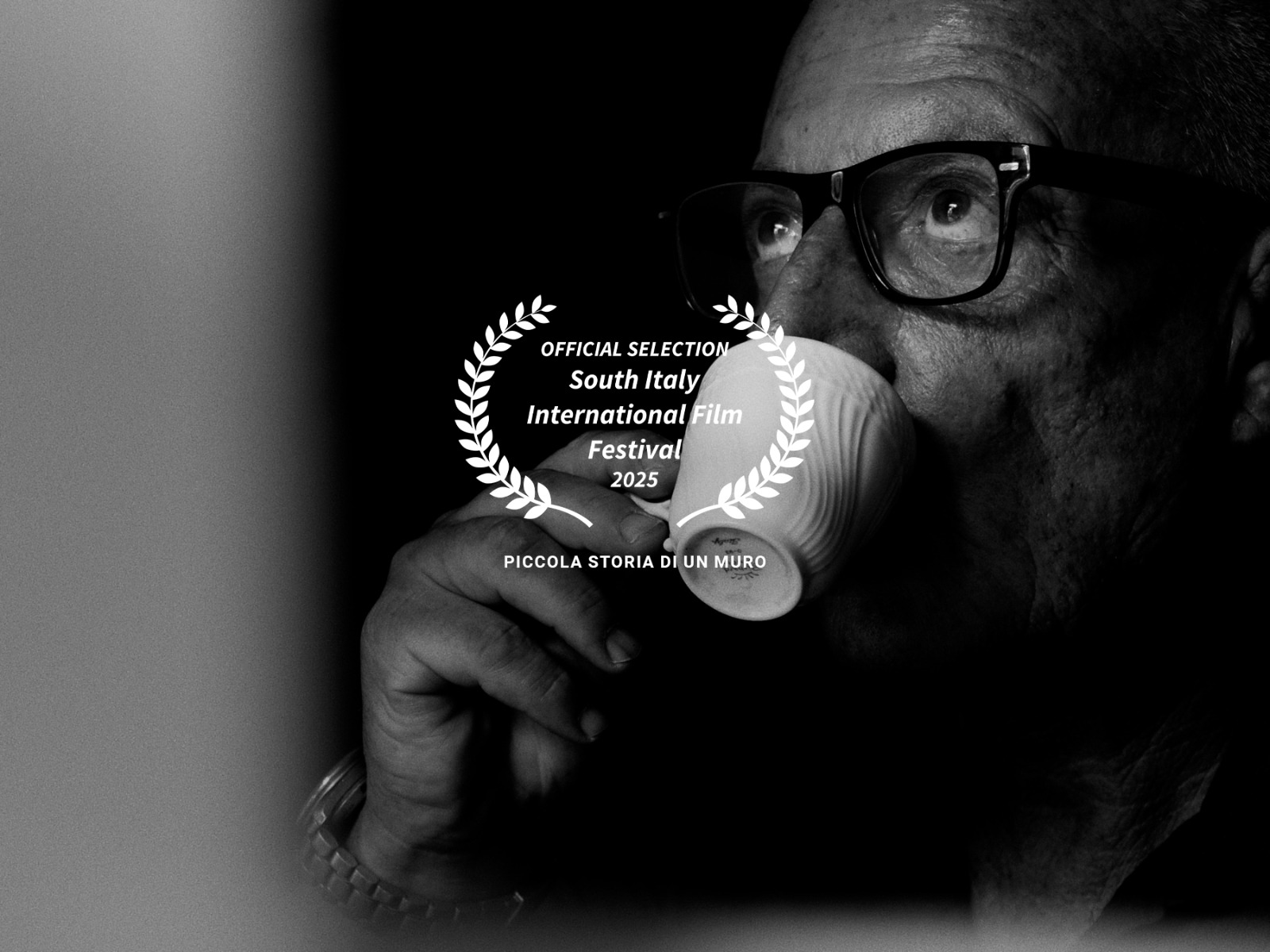 NBSFF Film Festival